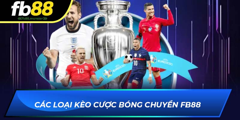 Bóng Chuyền FB88 – Cá Cược Kịch Tính Cùng Tỷ Lệ Hấp Dẫn Mỗi Ngày Các loại kèo cược bóng chuyền FB88